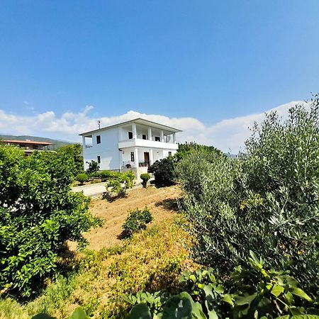 Villa Besart 培拉特 外观 照片