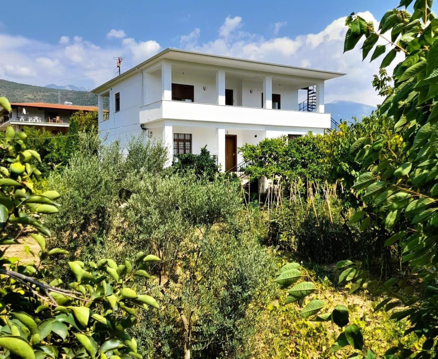 Villa Besart 培拉特 外观 照片